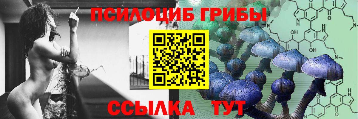 даркнет сайт  Вход с VPN  Псилоцибиновые грибы прущие грибы  Сухой Лог  Галлюциногенные грибы MAGIC MUSHROOMS 
